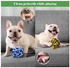 Toys for Dogs - Dog Toys Dubai