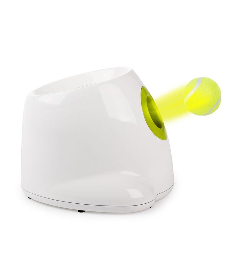 All For Paws - Interactive Hyper Fetch Mini - Doy Toys