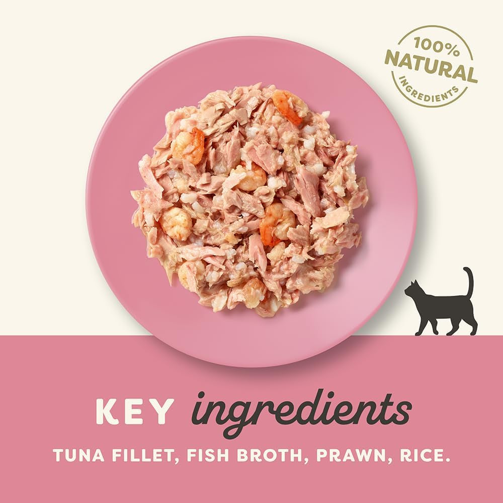 Applaws Tuna Fillet with Prawn in Broth Cat Food 70 g