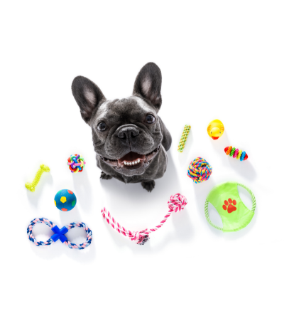 Dog Supplies Online Dog Toys Dog Leashes Beds Pets Lounge UAE