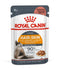 Royal Canin - Feline Care Nutrition Hair & Skin (Intense Beauty) Gravy