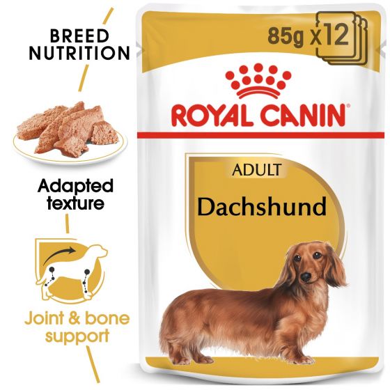 Royal Canin - Breed Health Nutrition Dachshund Adult (Wet Food - Pouches)