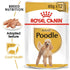 Royal Canin - Breed Health Nutrition Poodle Adult (Wet Food - Pouches)