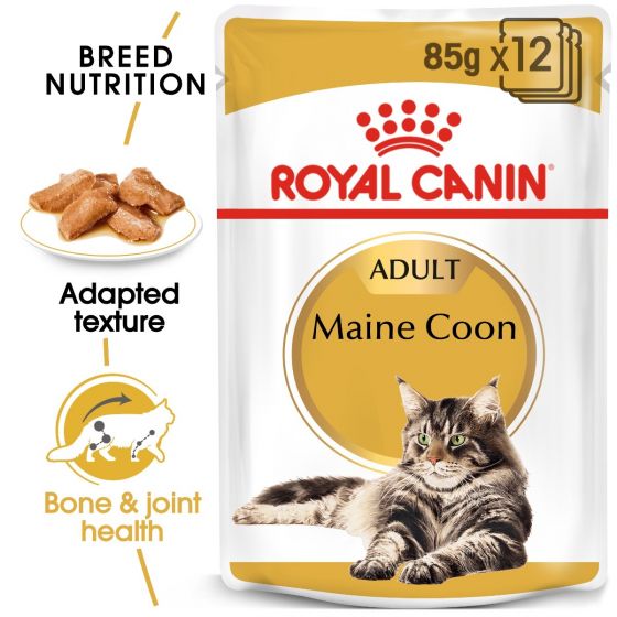 Royal Canin - Feline Breed Nutrition  Maine Coon - (Wet Food Pouches)