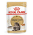 Royal Canin - Feline Breed Nutrition  Maine Coon - (Wet Food Pouches)