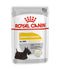 Royal Canin - Canine Care Nutrition Dermacomfort (Wet Food Pouches)