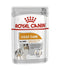 Royal Canin - Canine Care Nutrition Coat Beauty (Wet Food Pouches)