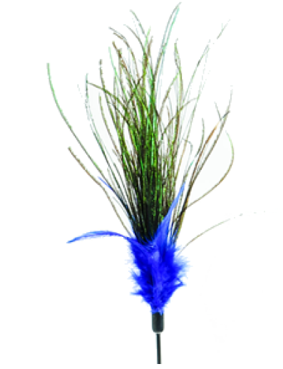 Pawsitiv - Interactive Cat Teaser Toy- Peacock- Medium
