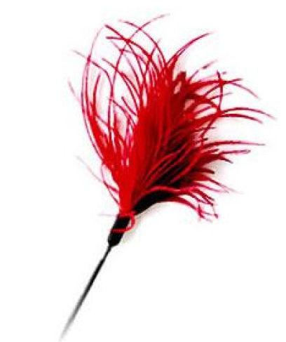 Pawsitiv - Interactive Cat Teaser Toy Red Small