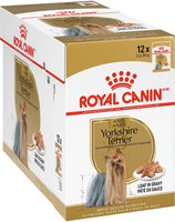 Royal canin yorkshire store terrier wet food