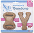 Benebone - Puppy 2-Pack Dental Chew/Wishbone (Tiny) - Bacon