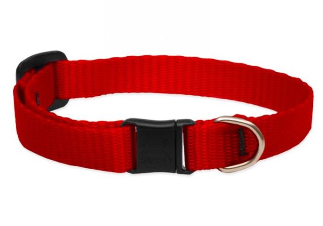 Lupine Basics Adjustable Collar red 1/2" For Small Dogs