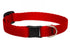 Lupine - Basics Adjustable Collar 1" For Large Dogs
