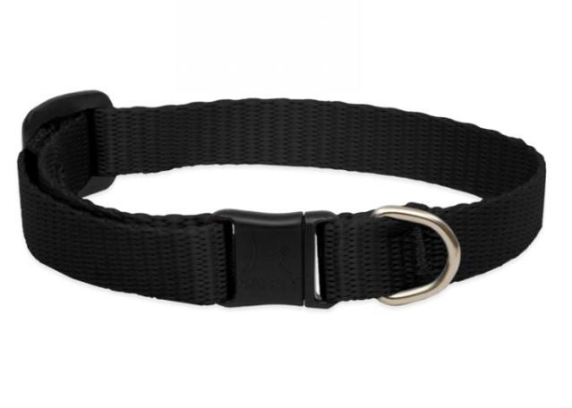 Lupine Basics Adjustable Collar black 1/2" For Small Dogs 