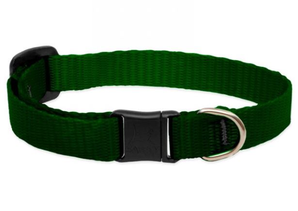 Lupine Basics Adjustable Collar black 1/2" For Small Dogs