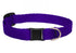 Lupine - Basics Adjustable Collar 1" For Large Dogs