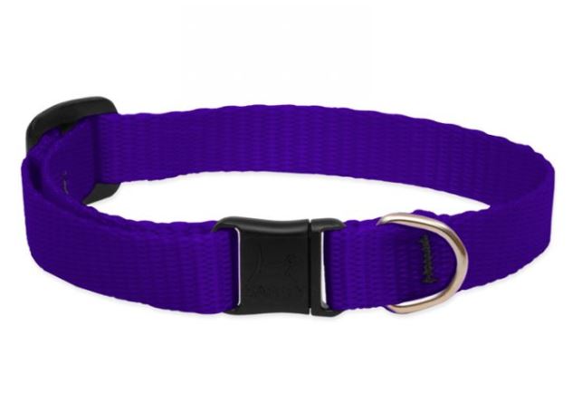 Lupine Basics Adjustable Collar Blue 1/2" For Small Dogs 