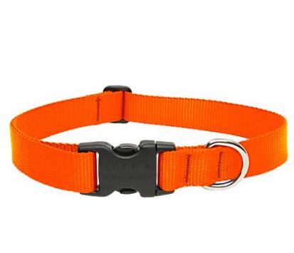 Lupine - Basics Adjustable Collar 3/4" For Medium Dogs