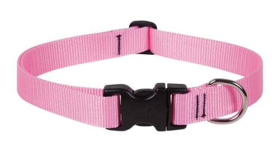 Lupine Basics Adjustable Collar pink 1/2" For Small Dogs 