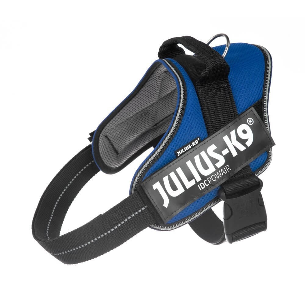 JULIUS K9 IDC POWAIR HARNESS - BLUE / SIZE LARGE
