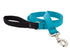 Lupine - Basic Solids Padded Handle Dog Leash 4Ft 3/4" Wide