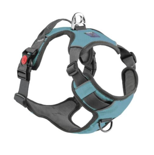 Golden Panda T8 Comfortable Harness, Blue
