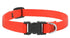Lupine - Basics Adjustable Collar Orange 1/2 - For Small Dogs