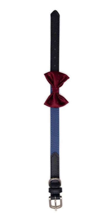 Pawsitiv - Handmade Collar - Oscar (1802)L