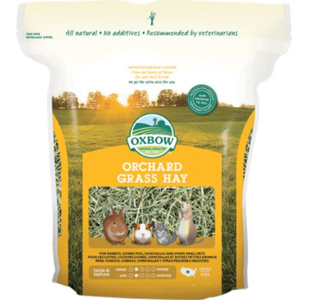 Oxbow - Orchard Grass Hay for Small Animals