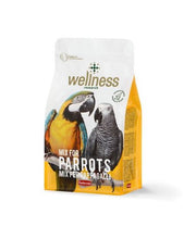 Padovan - Wellness Parrots 750g