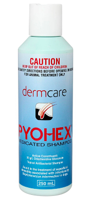 Pyohex Shampoo 250 ML