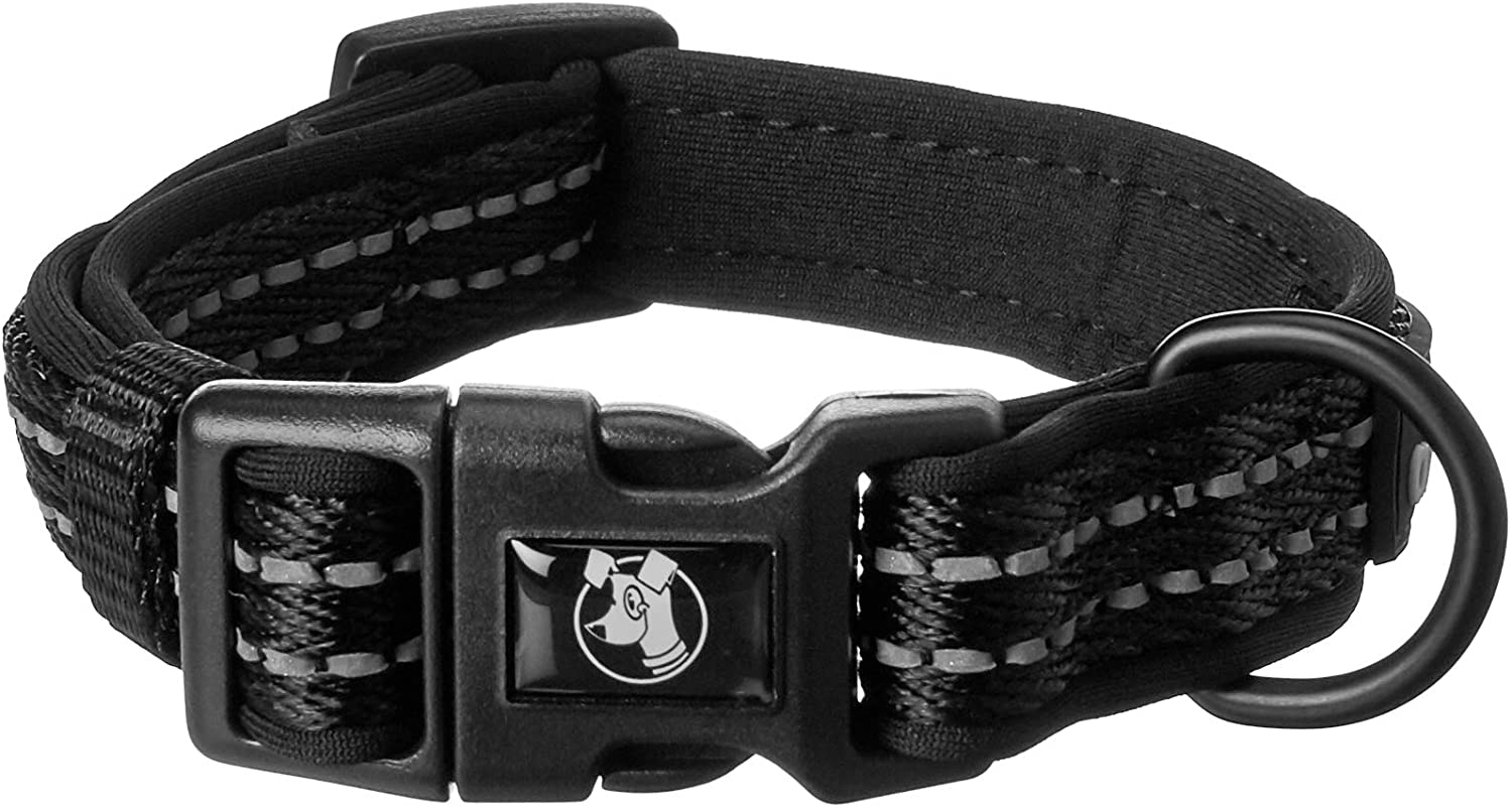 Alcott Adventure Collar Small - Dog Leashes
