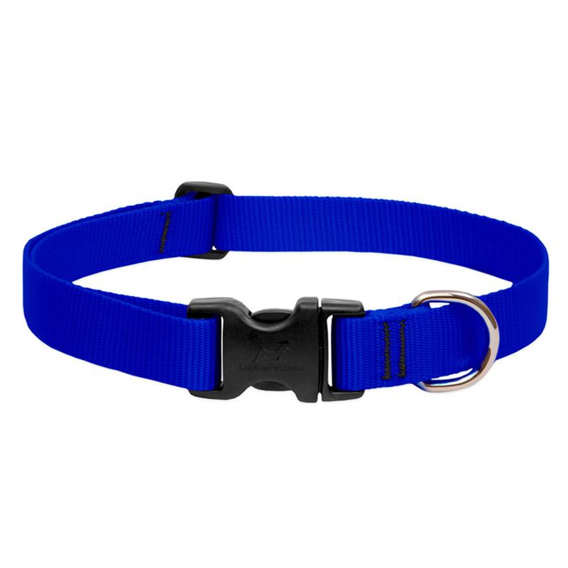BASICS Adjustable Collar For DOGS - Blue