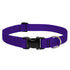 BASICS Adjustable Collar For DOGS - Purple