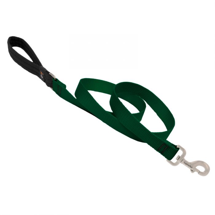 Basic Green Solids Padded Handle Dog Leash 4ft