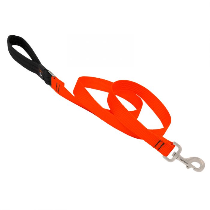 Basic Orange Solids Padded Handle Dog Leash 4ft 3/4" wide