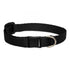 Lupine - Basic Solids Safety Cat Collar Without Bell