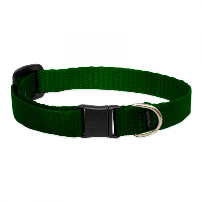 Lupine - Basic Solids Safety Cat Collar Without Bell