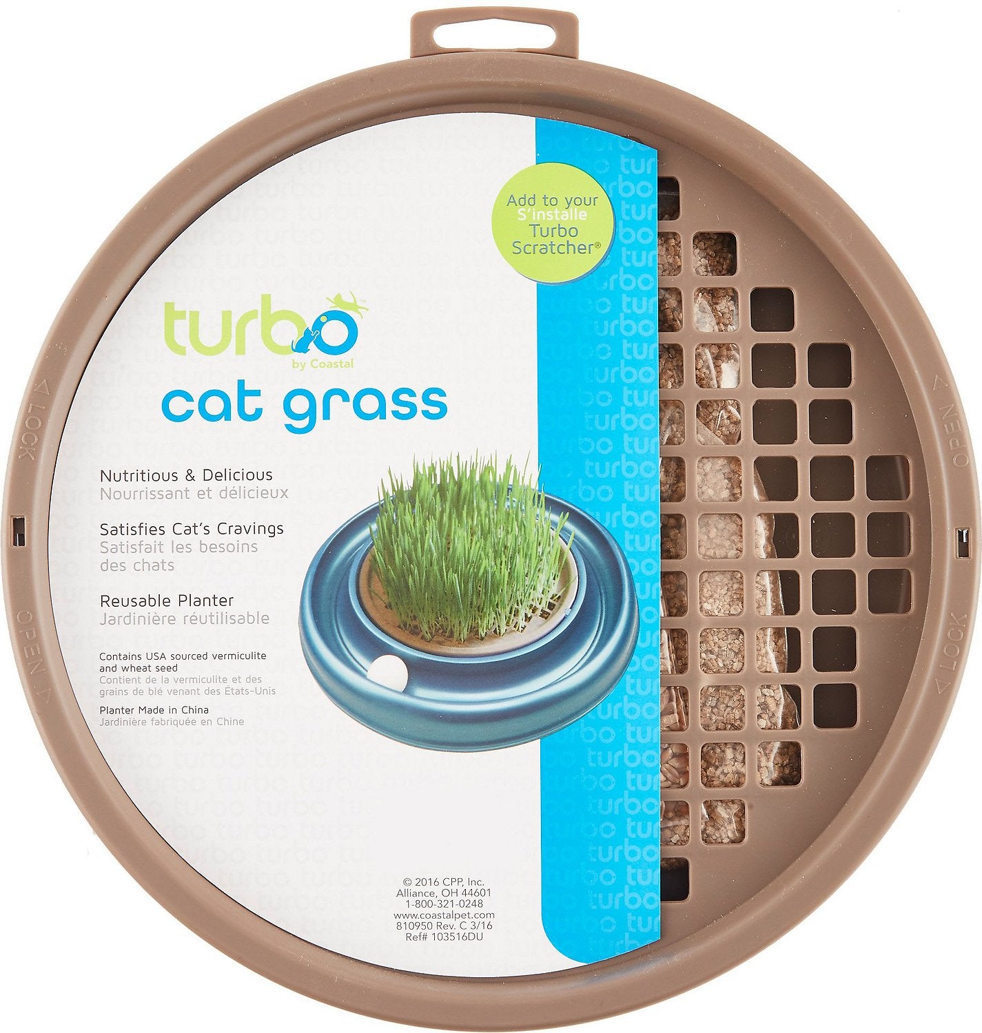 Bergan-TheTurboCatGrass.MAIN