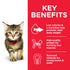CAT_Kitten_Chicken_Transition-Benefits