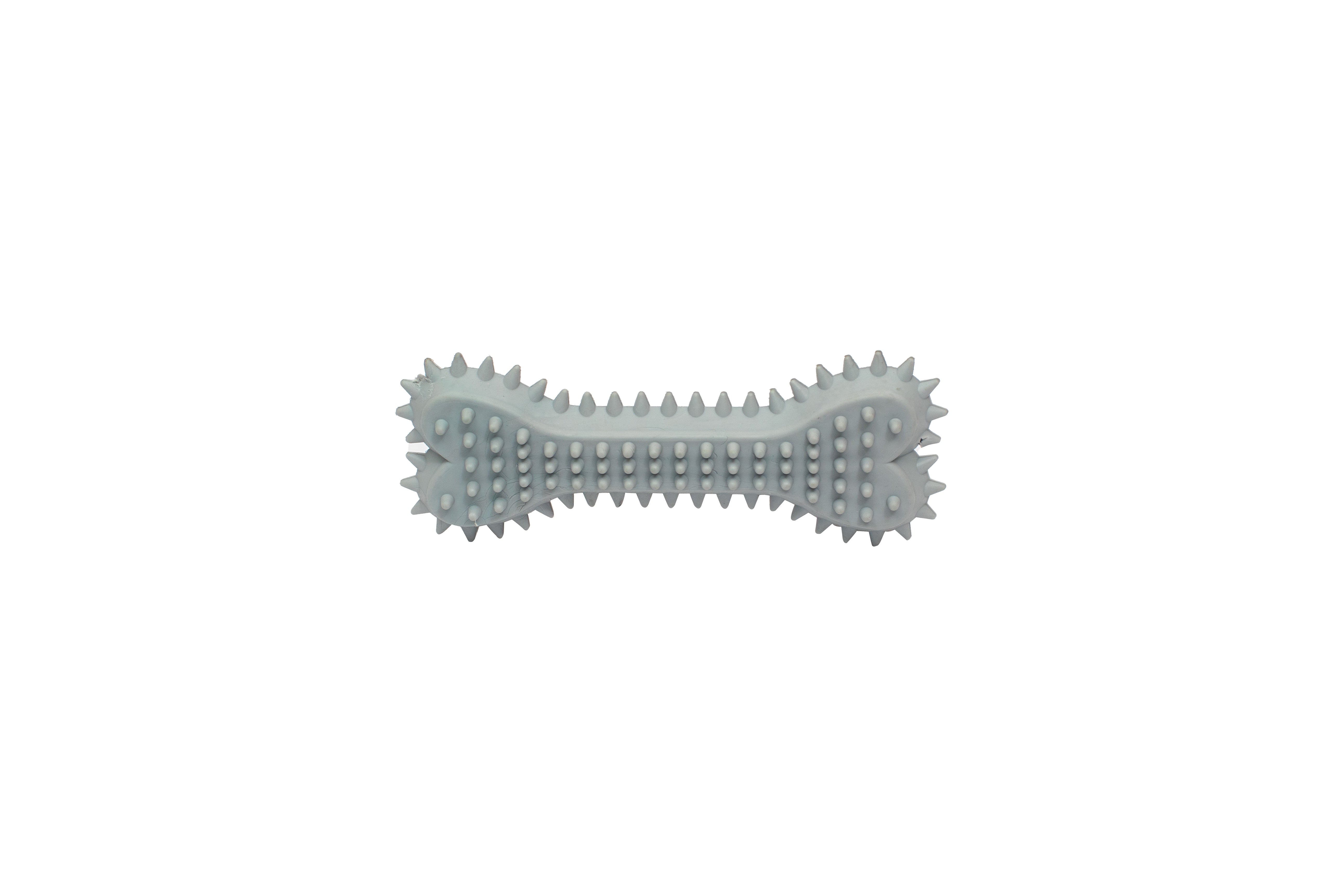 PL - Spiky Bone Chew Toy