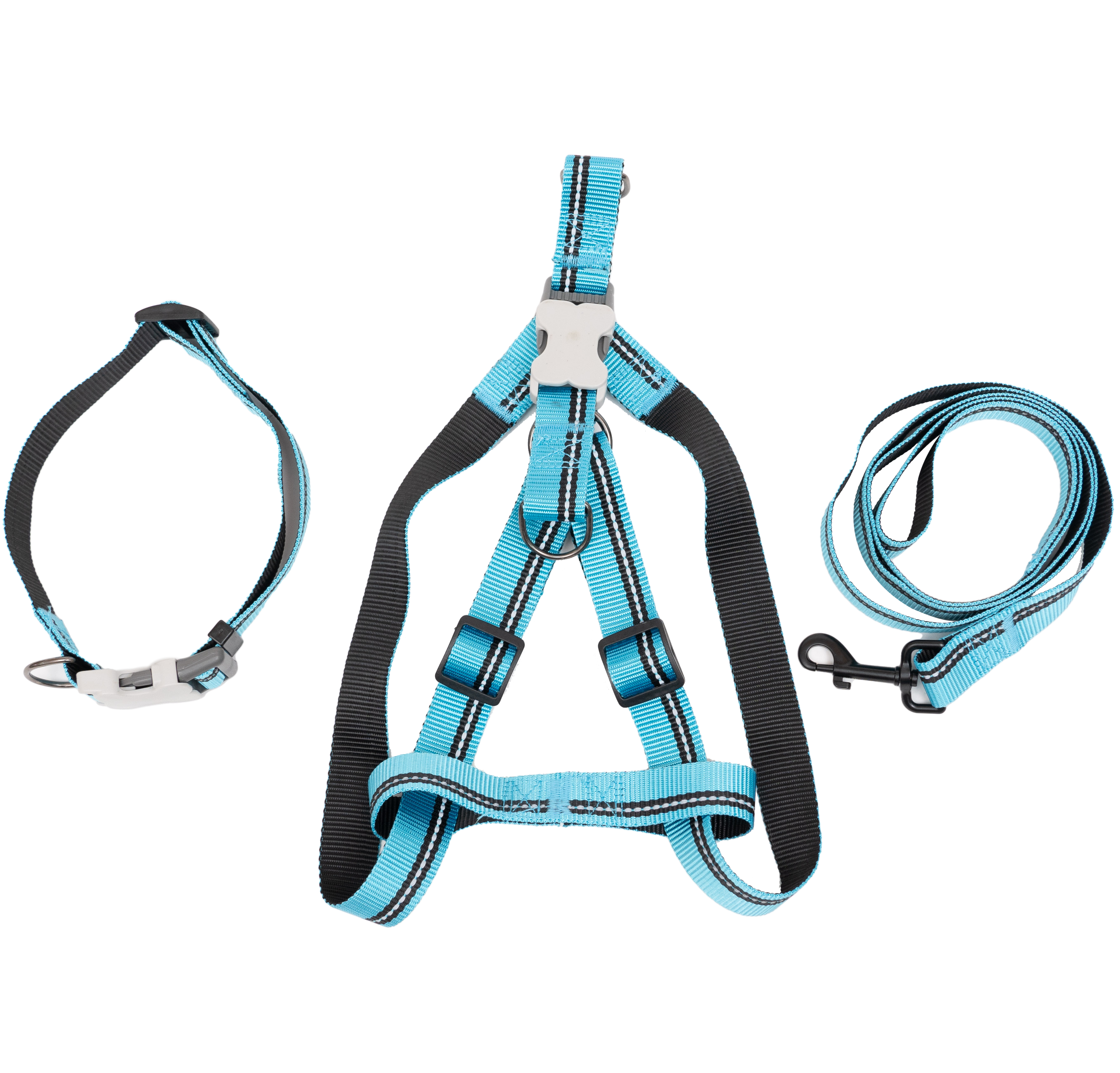 PL - PupGear Collection - Large (Neon)