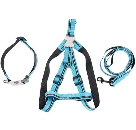 PL - PupGear Collection - Large (Neon)