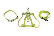 PL - PupGear Collection - Medium (Plain)