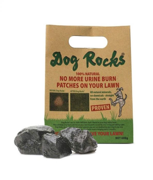 Dog Rocks - Premium
