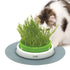 Catit - Senses - 2.0 Grass Planter