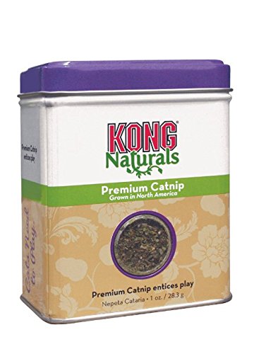 Kong Cat Premium Catnip - Cat toys