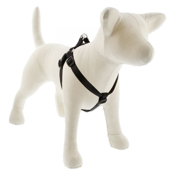 Lupine 3/4" Step In Harness Dog -Black