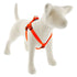 Lupine 3/4" Step In Harness Dog -Orange
