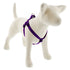 Lupine 3/4" Step In Harness Dog - Purple